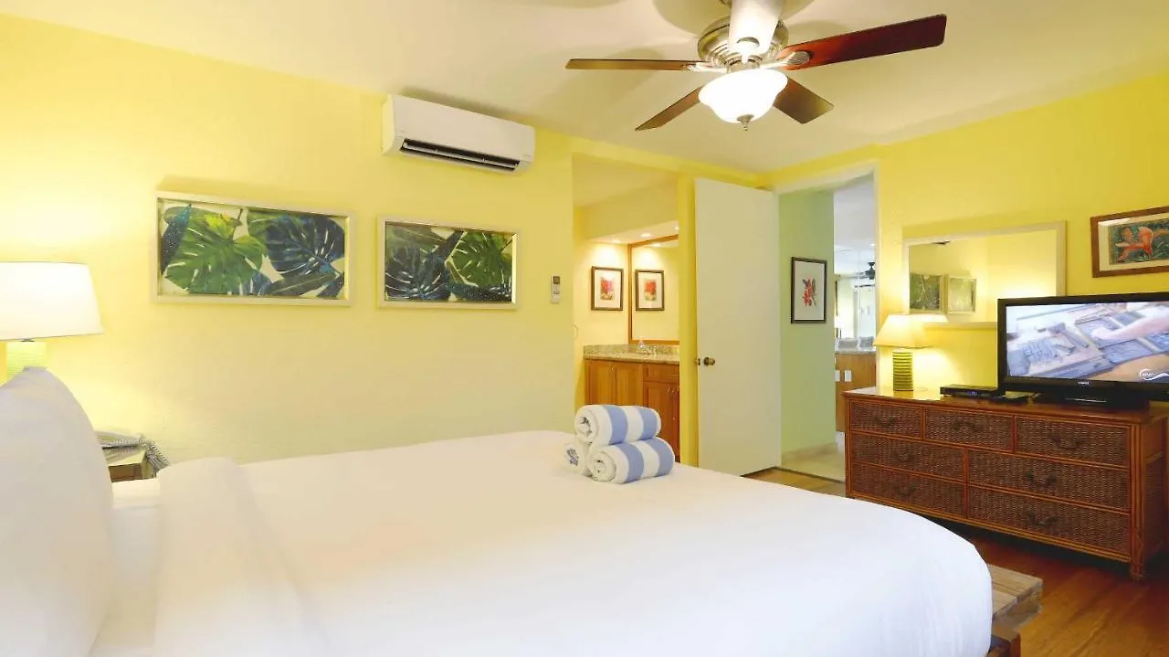 Aparthotel Papakea K303 2Bed/2Bath Stunning Ocean & Pool Views Lahaina 3*,  Estados Unidos
